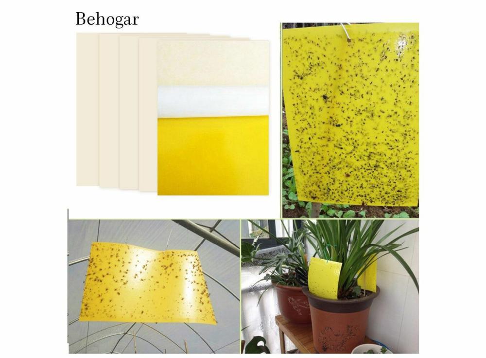 Anti-Mosquito Tool |   Behogar 5Pcs 1520Cm Dual Sided Sticky Traps Board For Outdoor Indoor Flying Plant Pest Anti-Mosquito Tool Anti-Mosquito Tool